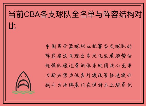 当前CBA各支球队全名单与阵容结构对比