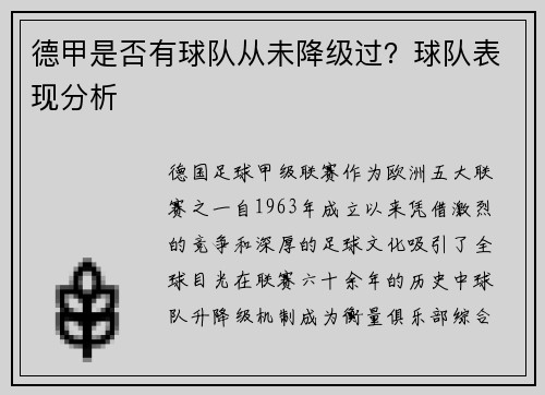 德甲是否有球队从未降级过？球队表现分析
