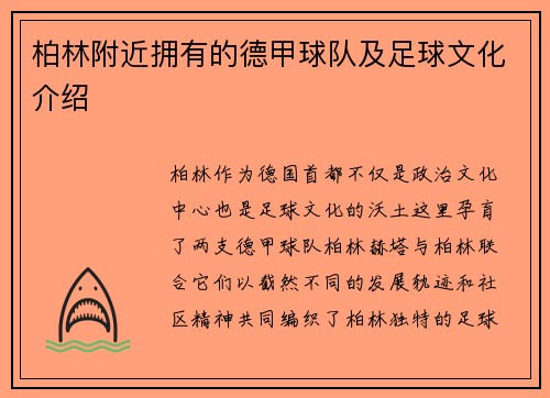 柏林附近拥有的德甲球队及足球文化介绍