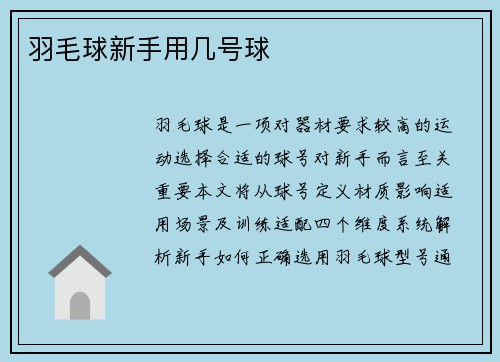 羽毛球新手用几号球